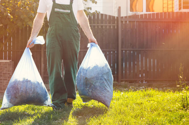 Best Shed Removal  in Forest Park, IL